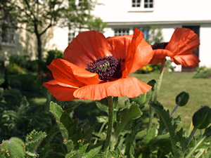 George and Rene Bennett. Picture by Jim Brearley