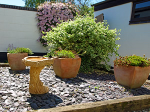 Rosemary and Mike Livings. Picture by Jim Brearley