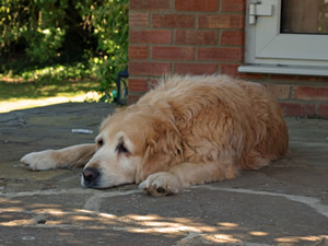 Lindsay and John Crawley. Picture by Jim Brearley