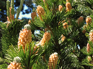 Angela and Clive. Picture by Jim Brearley