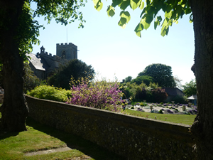 Picture by Phil Maynard