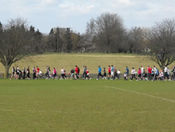  Picture by Sarah Scott